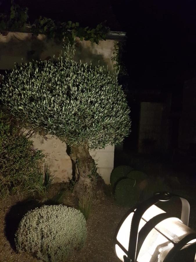 Le Clos Falaw Azay-sur-Cher Exterior photo